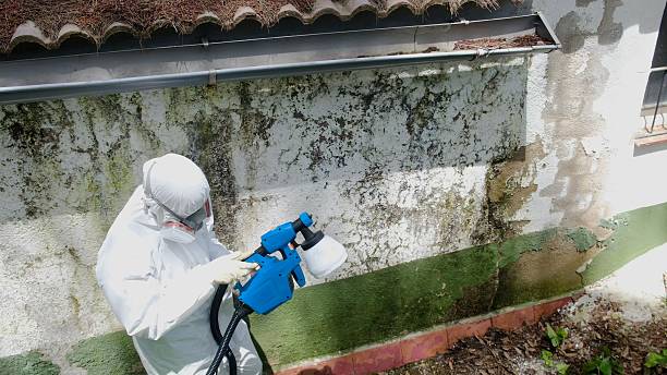 Trusted Mold Inspection service in Foster, VA - Cheap Mold Removal